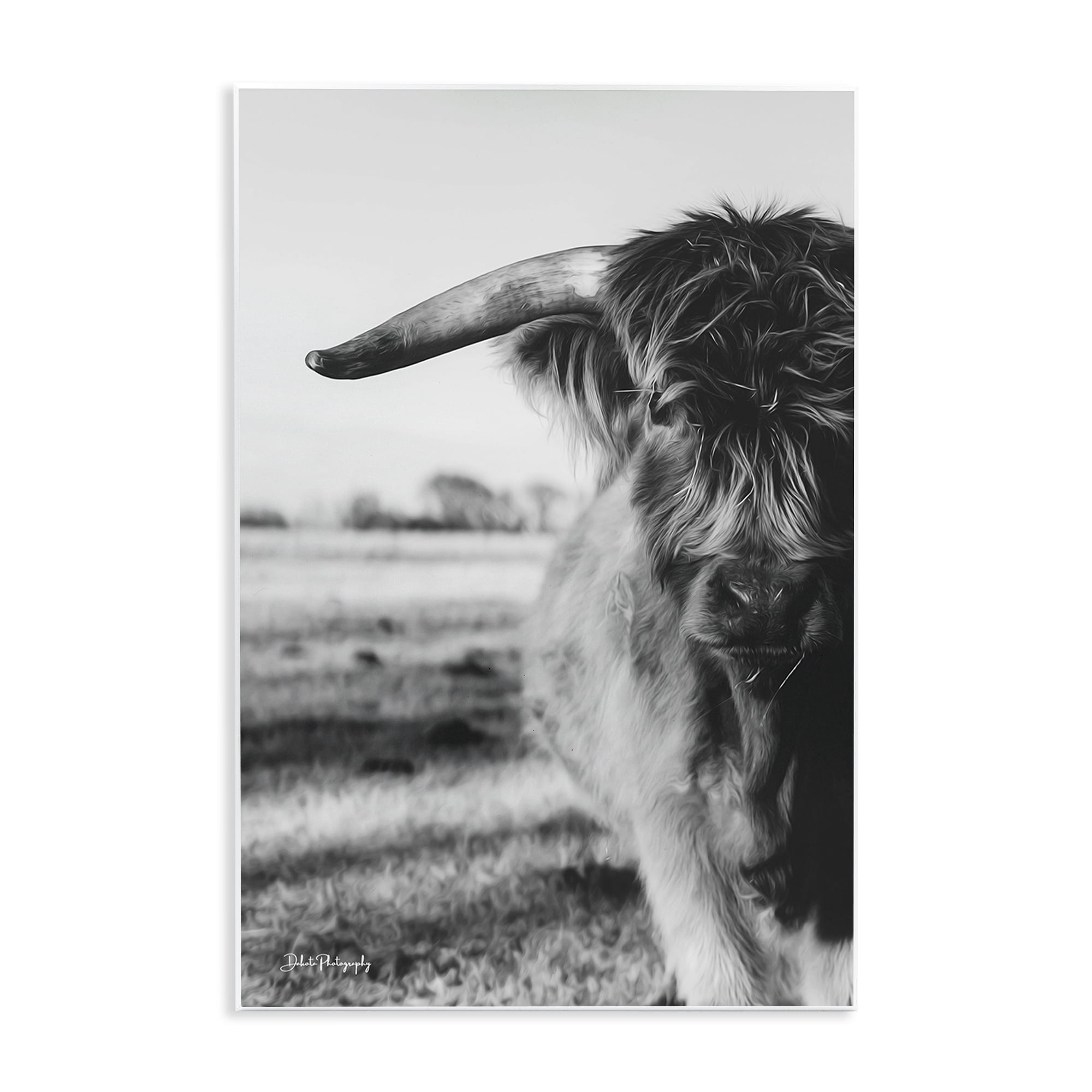 Stupell Industries Baby Cattle in Monochrome Wall Plaque Art, design by Dakota Diener