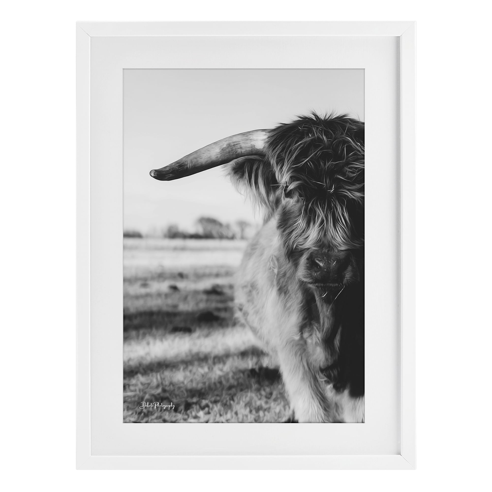 Stupell Industries Baby Cattle in Monochrome White Framed Print Under Glass, design by Dakota Diener