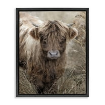Stupell Industries Baby Cattle with Reeds Animals & Insects Painting Black Floater Framed Canvas Art Print Wall Art, 17 x 21