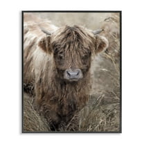Stupell Industries Baby Cattle with Reeds Animals & Insects Painting Black Framed Art Print Wall Art, 11 x 14