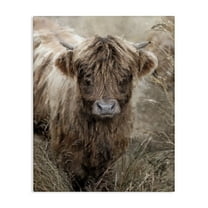 Stupell Industries Baby Cattle with Reeds Animals & Insects Painting Gallery Wrapped Canvas Art Print Wall Art, 16 x 20