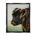 thumbnail image 1 of Stupell Industries Baby Cow Photography Animals & Insects Photography Black Floater Framed Art Print Wall Art, 17 x 21, 1 of 10