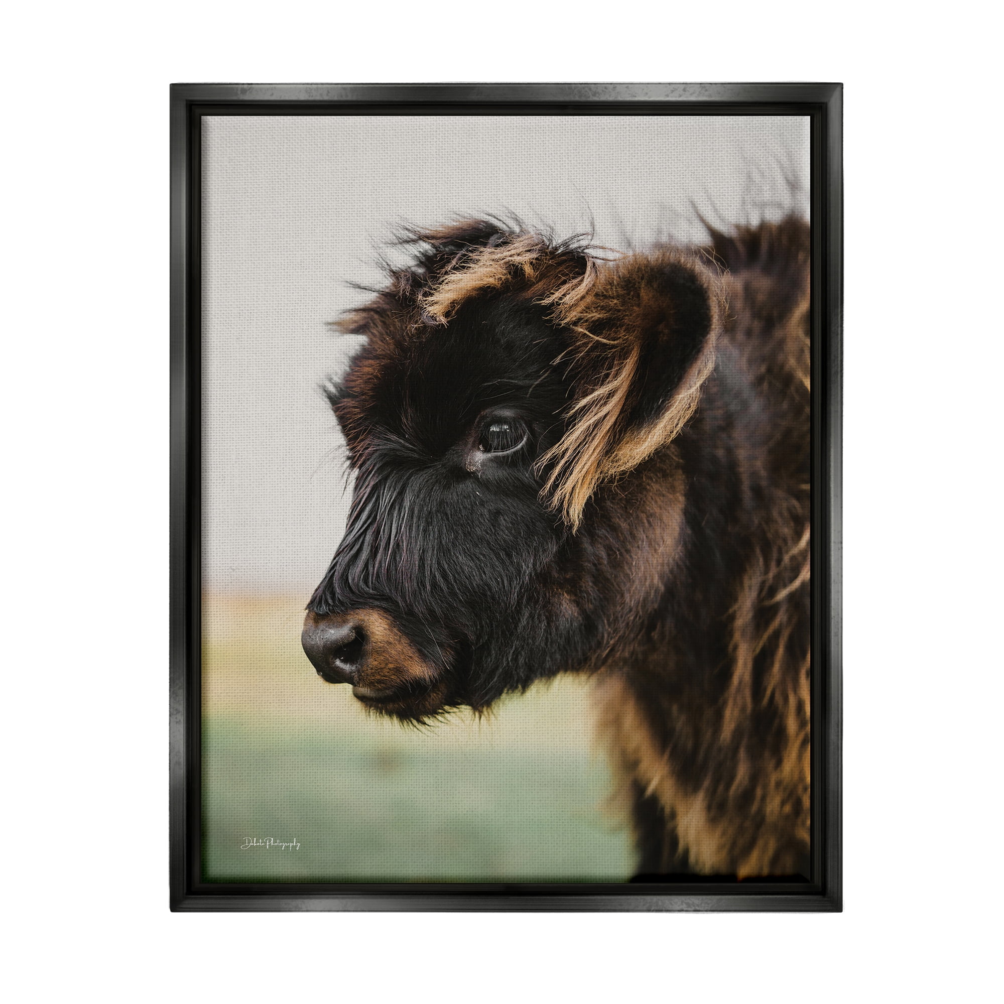 Stupell Industries Baby Cow Photography Animals & Insects Photography Black Floater Framed Art Print Wall Art, 25 x 31