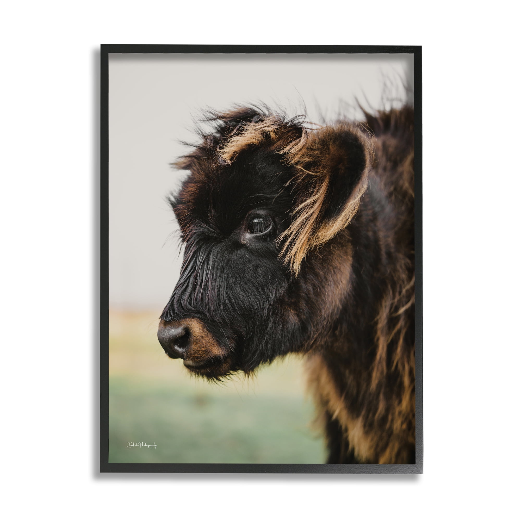 Stupell Industries Baby Cow Photography Animals & Insects Photography Black Framed Art Print Wall Art, 16 x 20