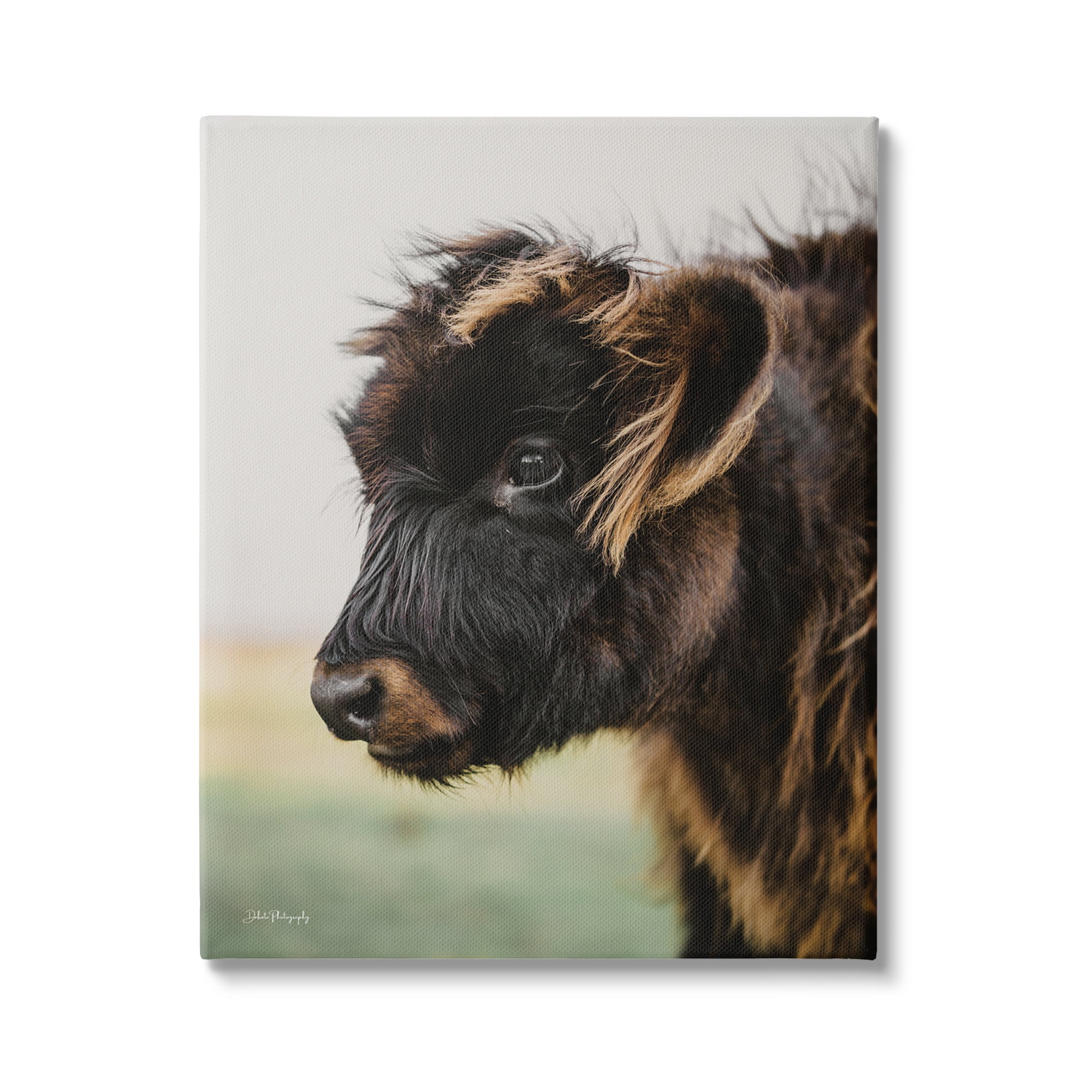 Stupell Industries Baby Cow Photography Animals & Insects Photography Gallery Wrapped Canvas Print Wall Art, 30 x 40