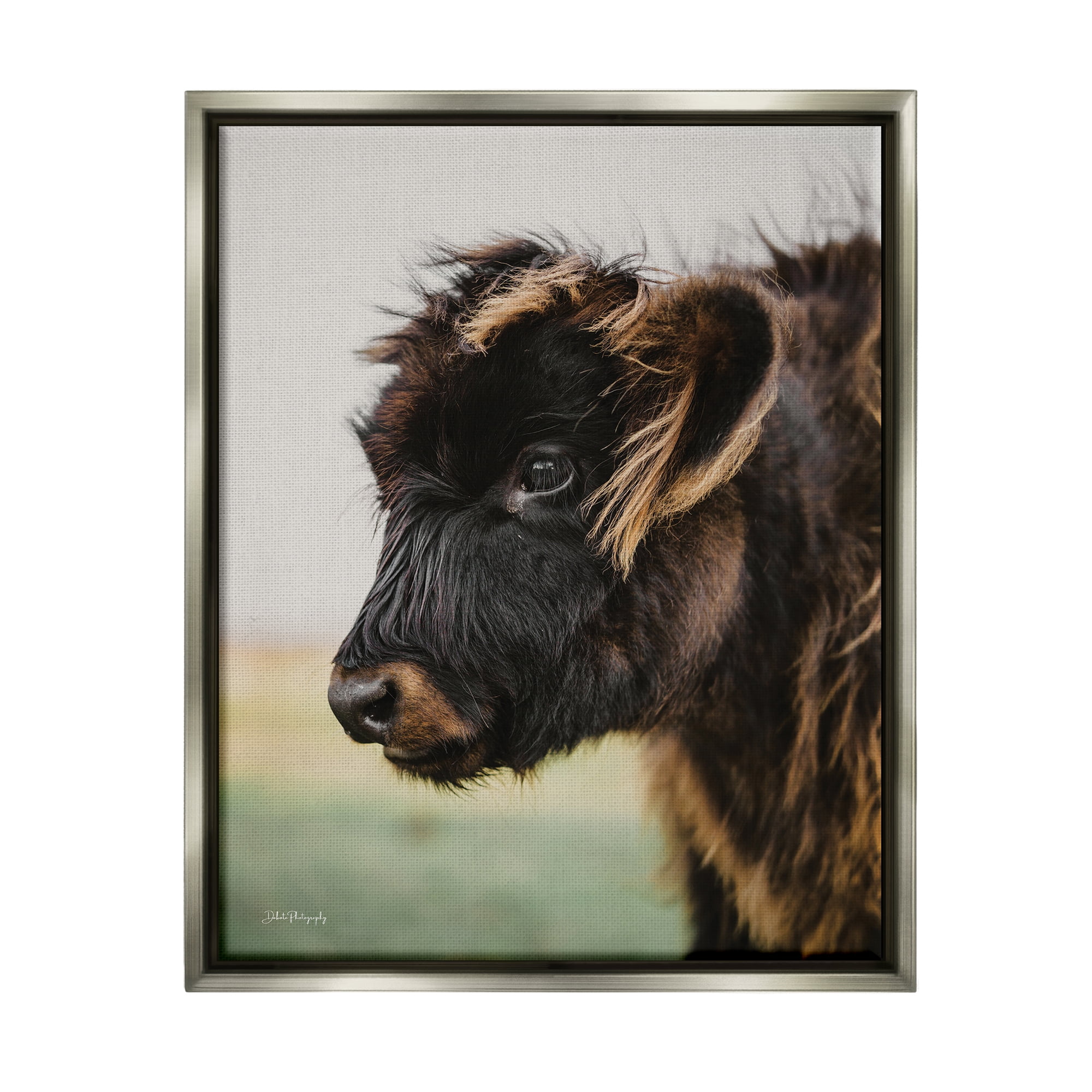 Stupell Industries Baby Cow Photography Animals & Insects Photography Gray Floater Framed Art Print Wall Art, 17 x 21