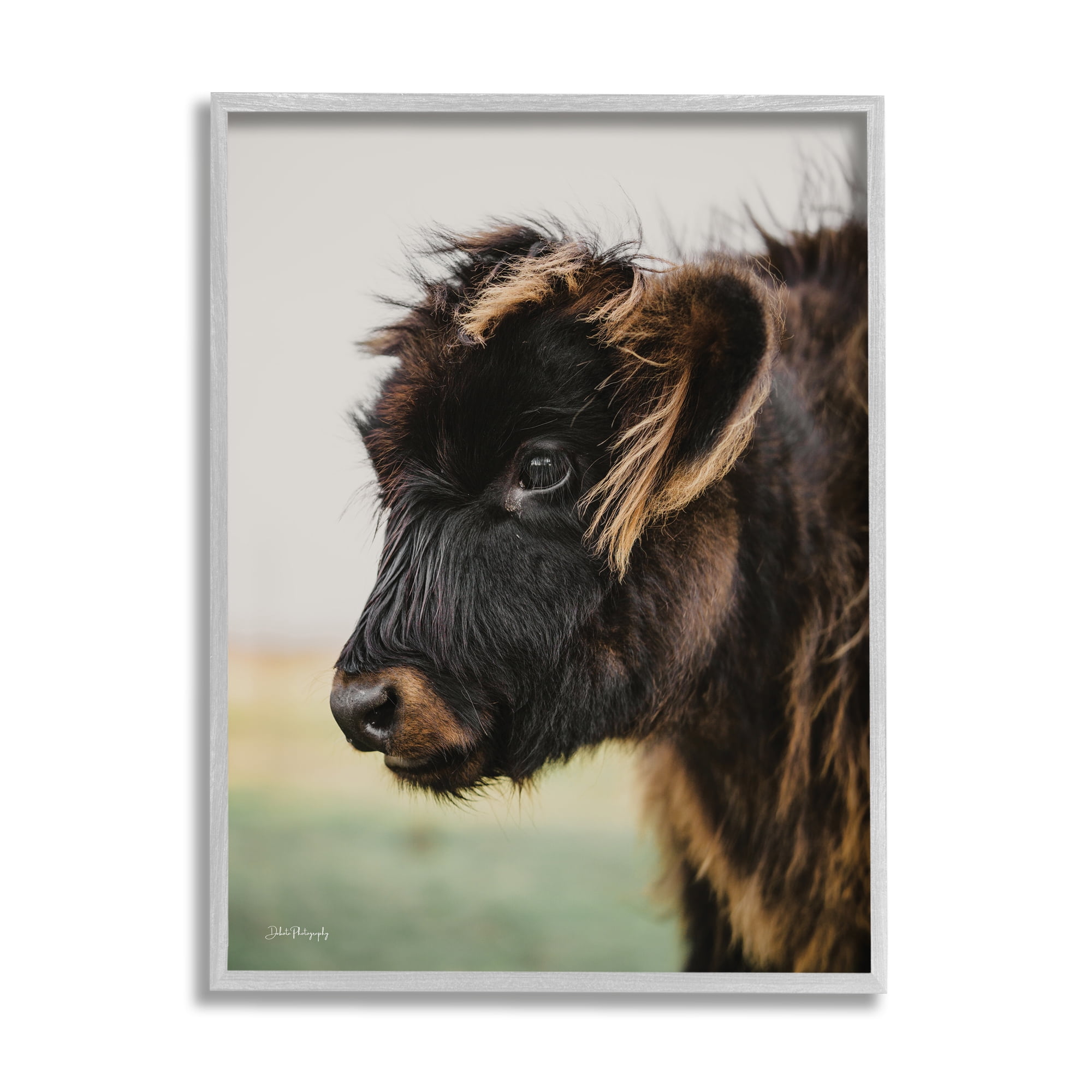 Stupell Industries Baby Cow Photography Animals & Insects Photography Gray Framed Art Print Wall Art, 11 x 14