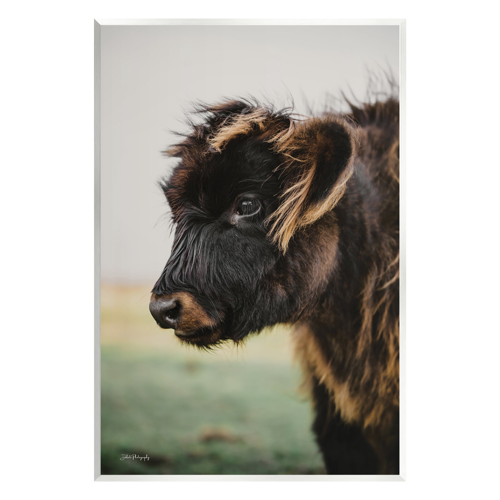 Stupell Industries Baby Cow Photography Animals & Insects Photography Unframed Art Print Wall Art, 13 x 19