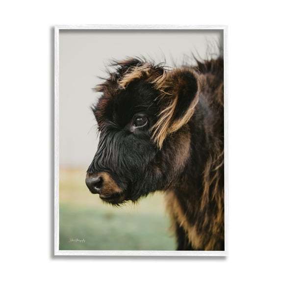 Stupell Industries Baby Cow Photography Animals & Insects Photography White Framed Art Print Wall Art, 11 x 14