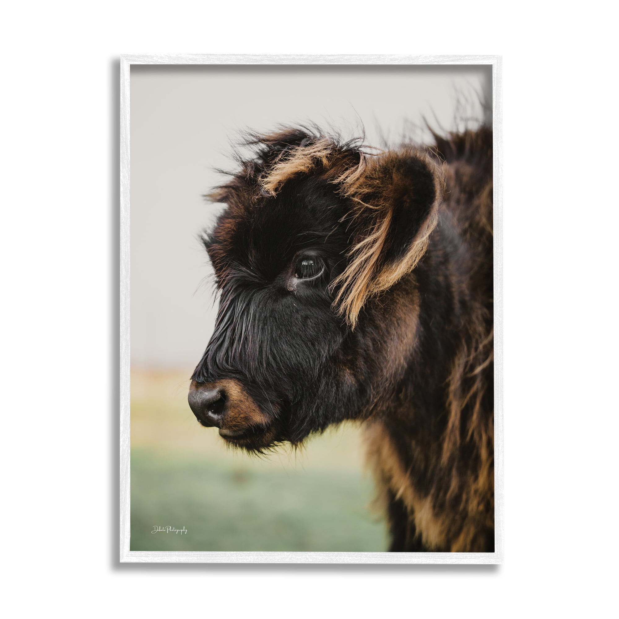 Stupell Industries Baby Cow Photography Animals & Insects Photography White Framed Art Print Wall Art, 24 x 30