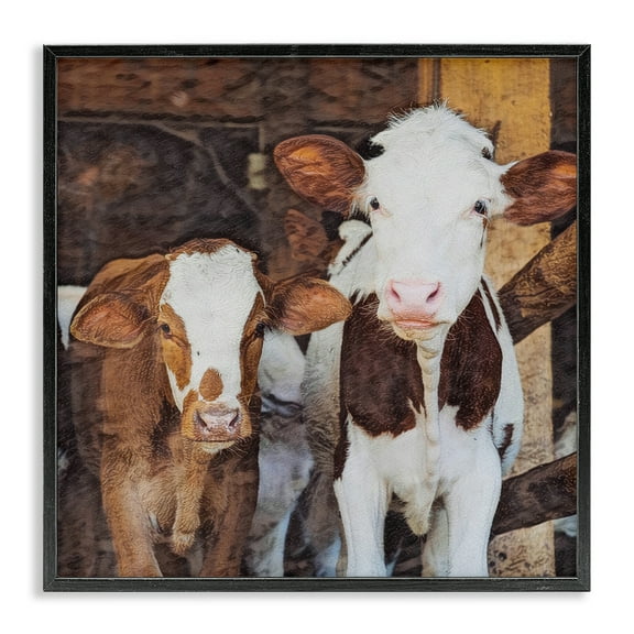 Stupell Industries Baby Cows on Farm Animals Painting Black Framed Art Print Wall Art, 12 x 12