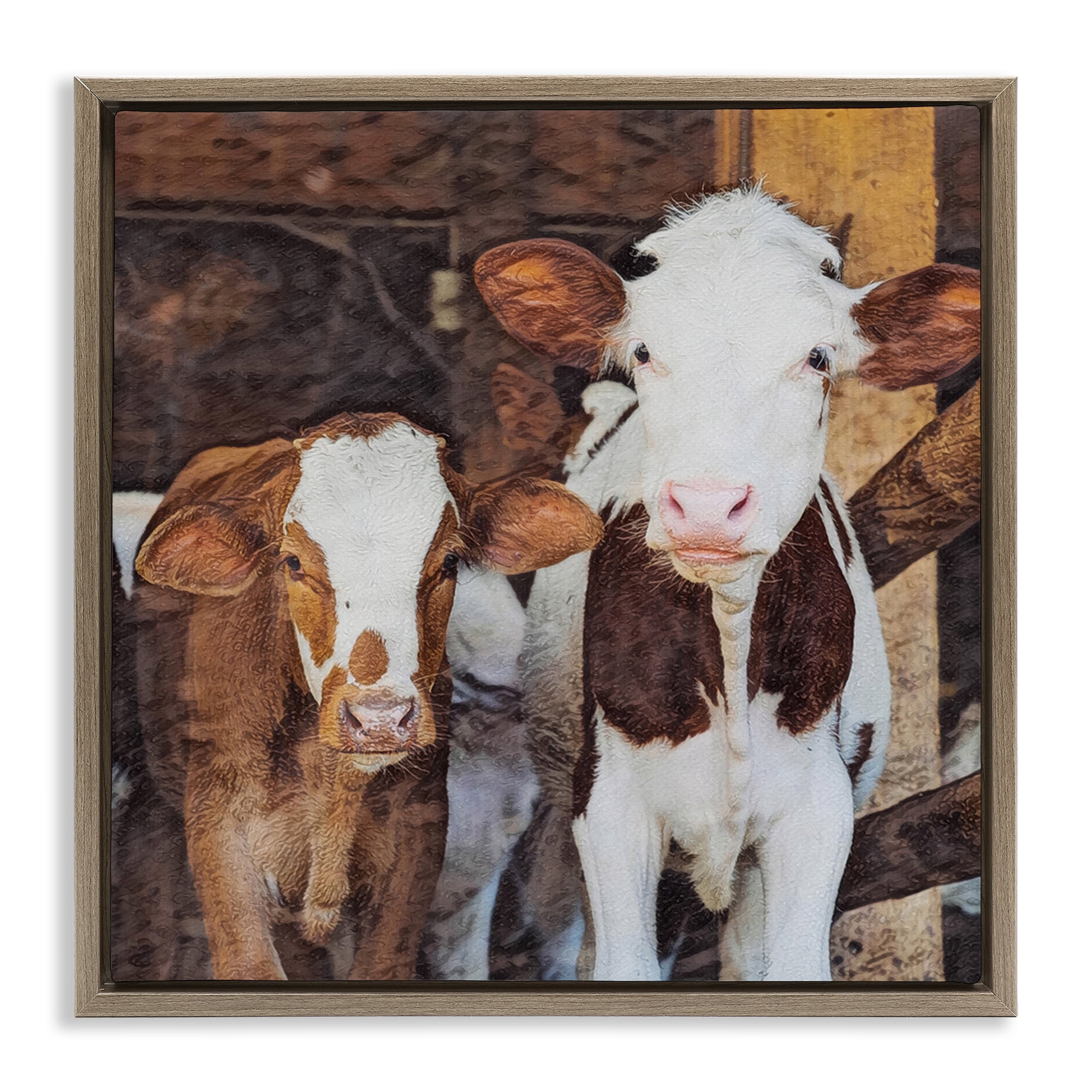 Stupell Industries Baby Cows on Farm Animals Painting Brown Floater Framed Canvas Art Print Wall Art, 25 x 25