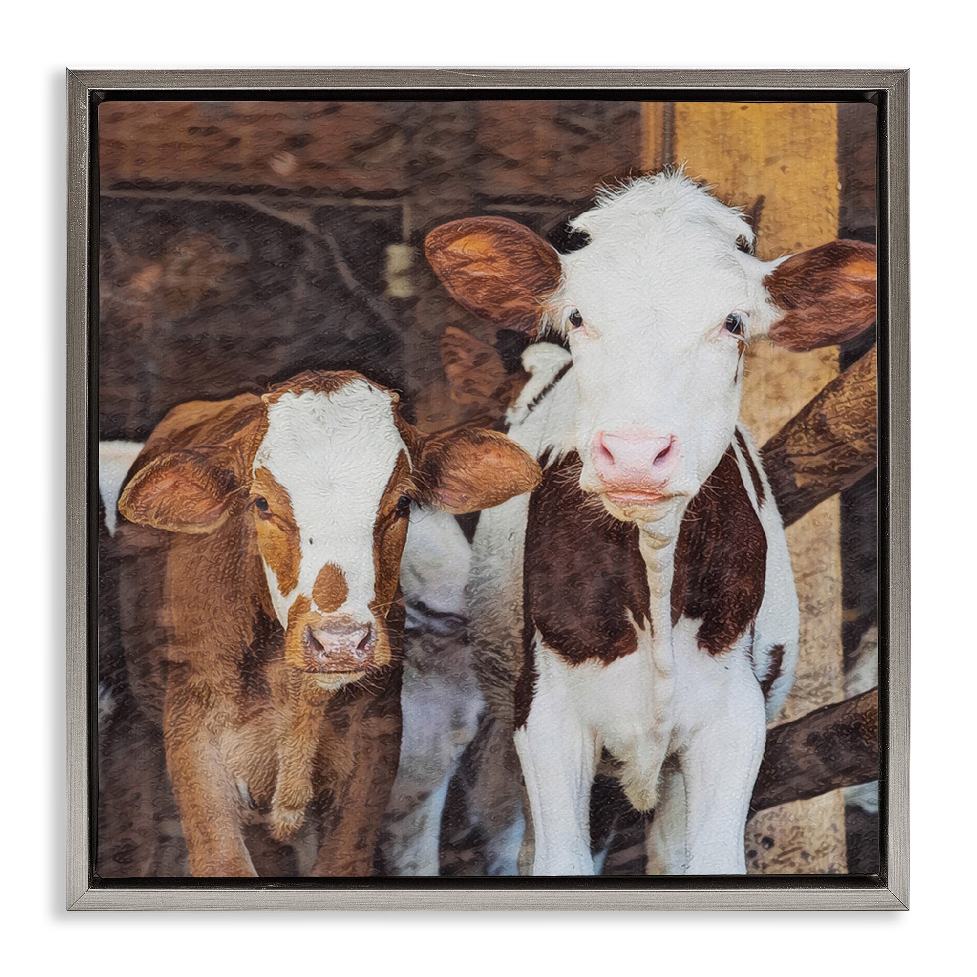 Stupell Industries Baby Cows on Farm Animals Painting Gray Floater Framed Canvas Art Print Wall Art, 18 x 18