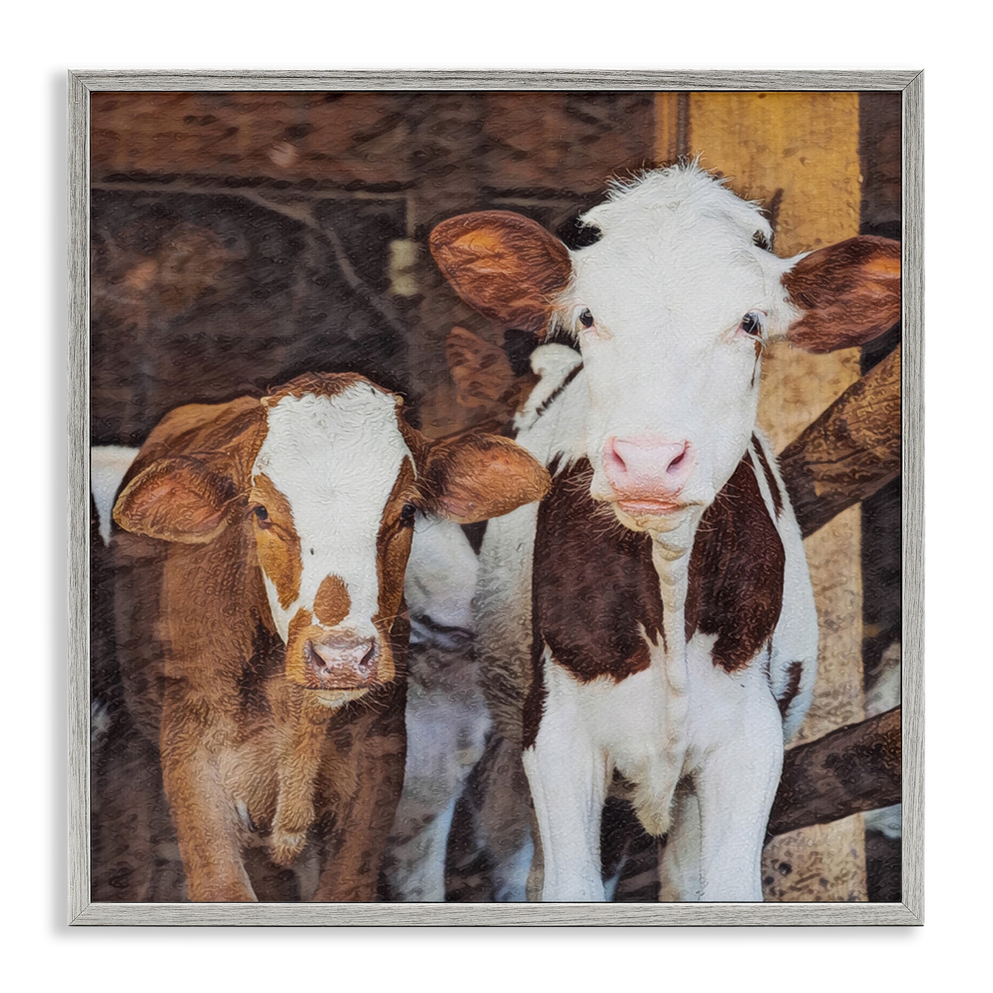 Stupell Industries Baby Cows on Farm Animals Painting Gray Framed Art Print Wall Art, 17 x 17