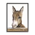 thumbnail image 1 of Stupell Industries Baby Donkey Portrait Adorable Farm Animal Black Framed, 24 x 30, Design by George Dyachenko, 1 of 5