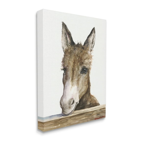 Stupell Industries Baby Donkey Portrait Adorable Farm Animal Canvas Wall Art, 30 x 40, Design by George Dyachenko