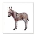 thumbnail image 1 of Stupell Industries Baby Donkey Watercolor Portrait Children's Nursery Animal, 12 x 12,Design by Fox Hollow Studios, 1 of 5
