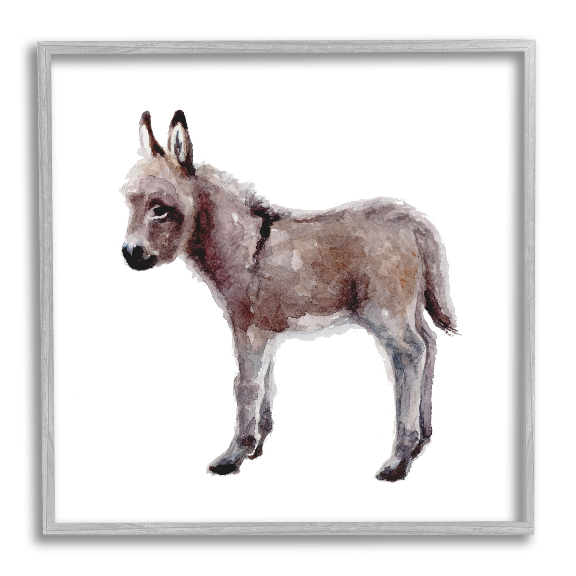 Stupell Industries Baby Donkey Watercolor Portrait Children's Nursery Animal, 24 x 24,Design by Fox Hollow Studios