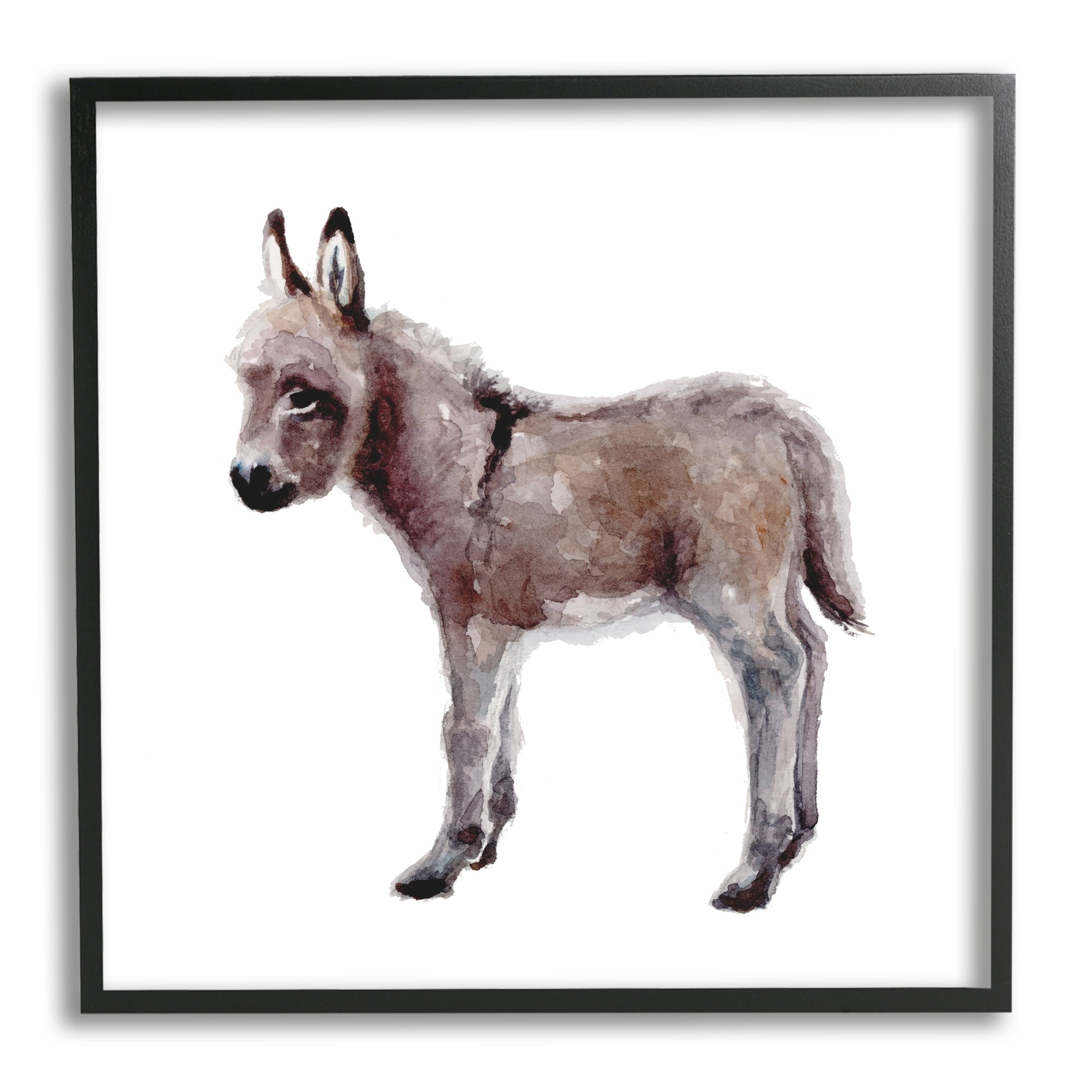 Stupell Industries Baby Donkey Watercolor Portrait Children's Nursery Animal, 24 x 24,Design by Fox Hollow Studios