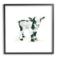 thumbnail image 1 of Stupell Industries Baby Farm Lamb Minimal Country Animal over White, 12 x 12, Design by Carol Robinson, 1 of 7