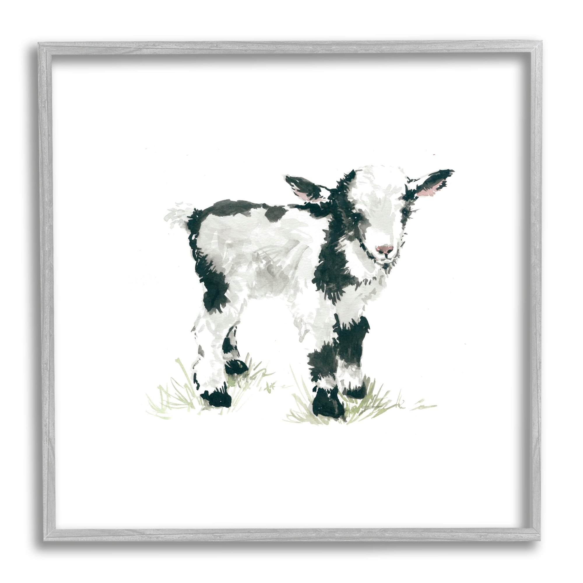 Stupell Industries Baby Farm Lamb Minimal Country Animal over White, 24 x 24, Design by Carol Robinson