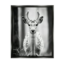Stupell Industries Baby Fawn Photography Animals & Insects Photography Black Floater Framed Canvas Art Print Wall Art, 17 x 21