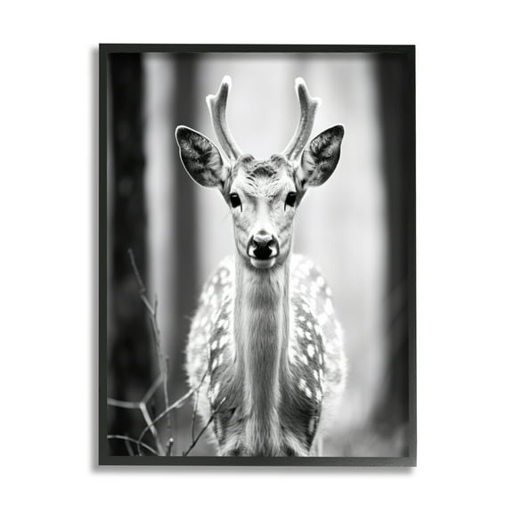 Stupell Industries Baby Fawn Photography Animals & Insects Photography Black Framed Art Print Wall Art, 11 x 14