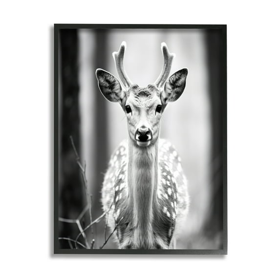 Stupell Industries Baby Fawn Photography Animals & Insects Photography Black Framed Art Print Wall Art, 11 x 14