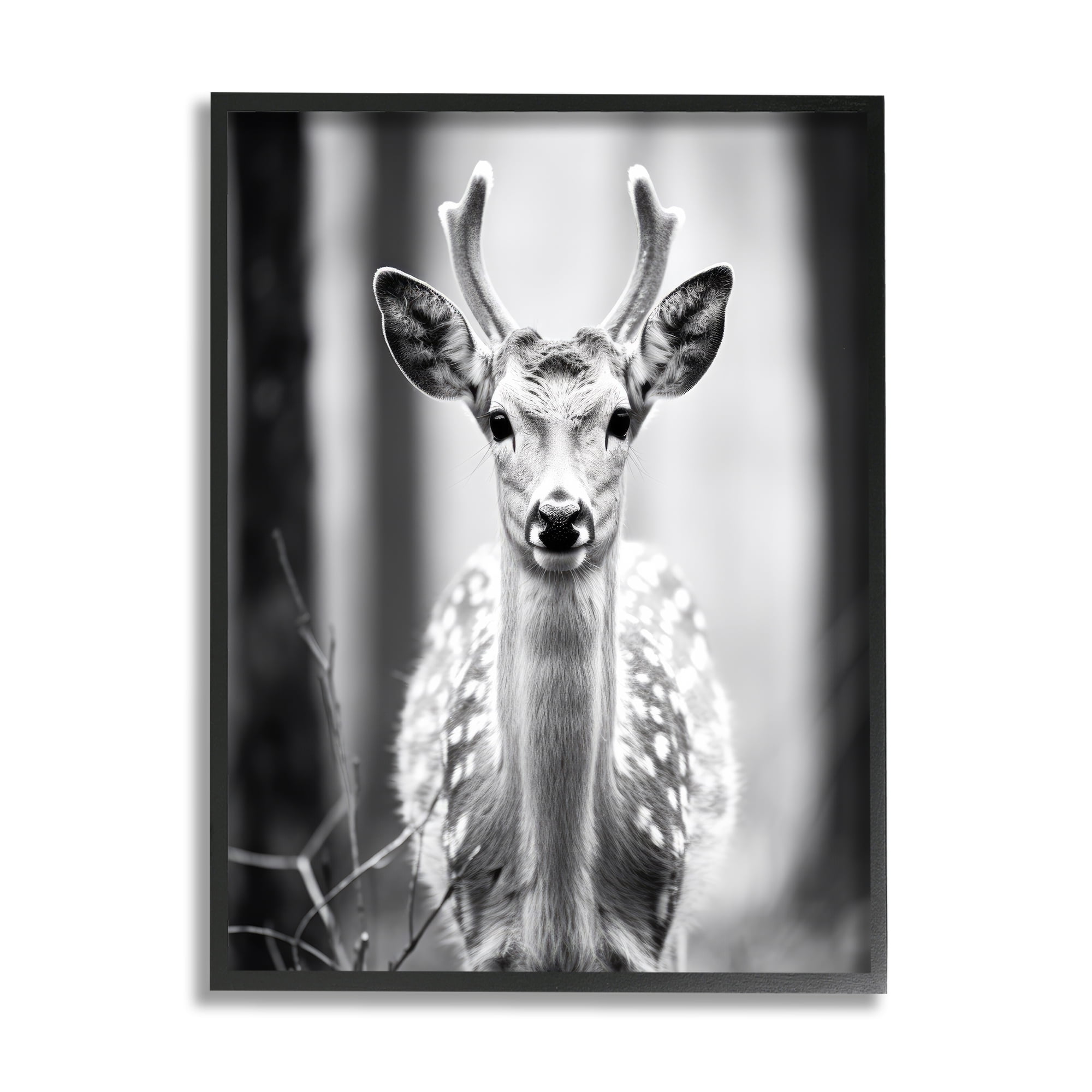 Stupell Industries Baby Fawn Photography Animals & Insects Photography Black Framed Art Print Wall Art, 24 x 30