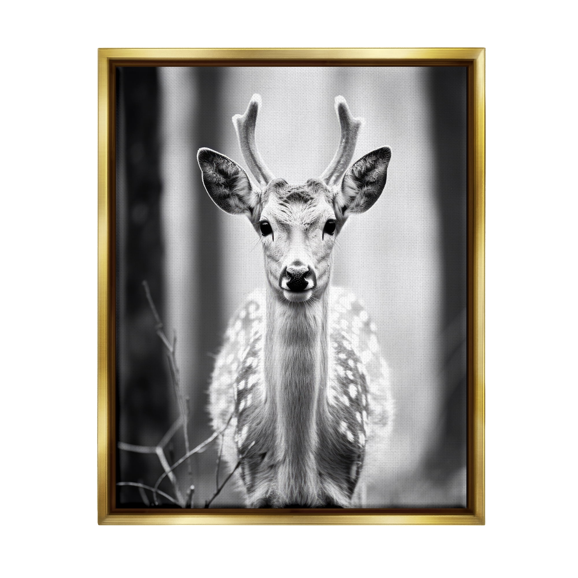 Stupell Industries Baby Fawn Photography Animals & Insects Photography Gold Floater Framed Canvas Art Print Wall Art, 17 x 21