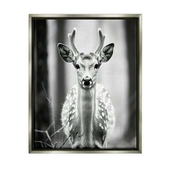 Stupell Industries Baby Fawn Photography Animals & Insects Photography Gray Floater Framed Canvas Art Print Wall Art, 25 x 31