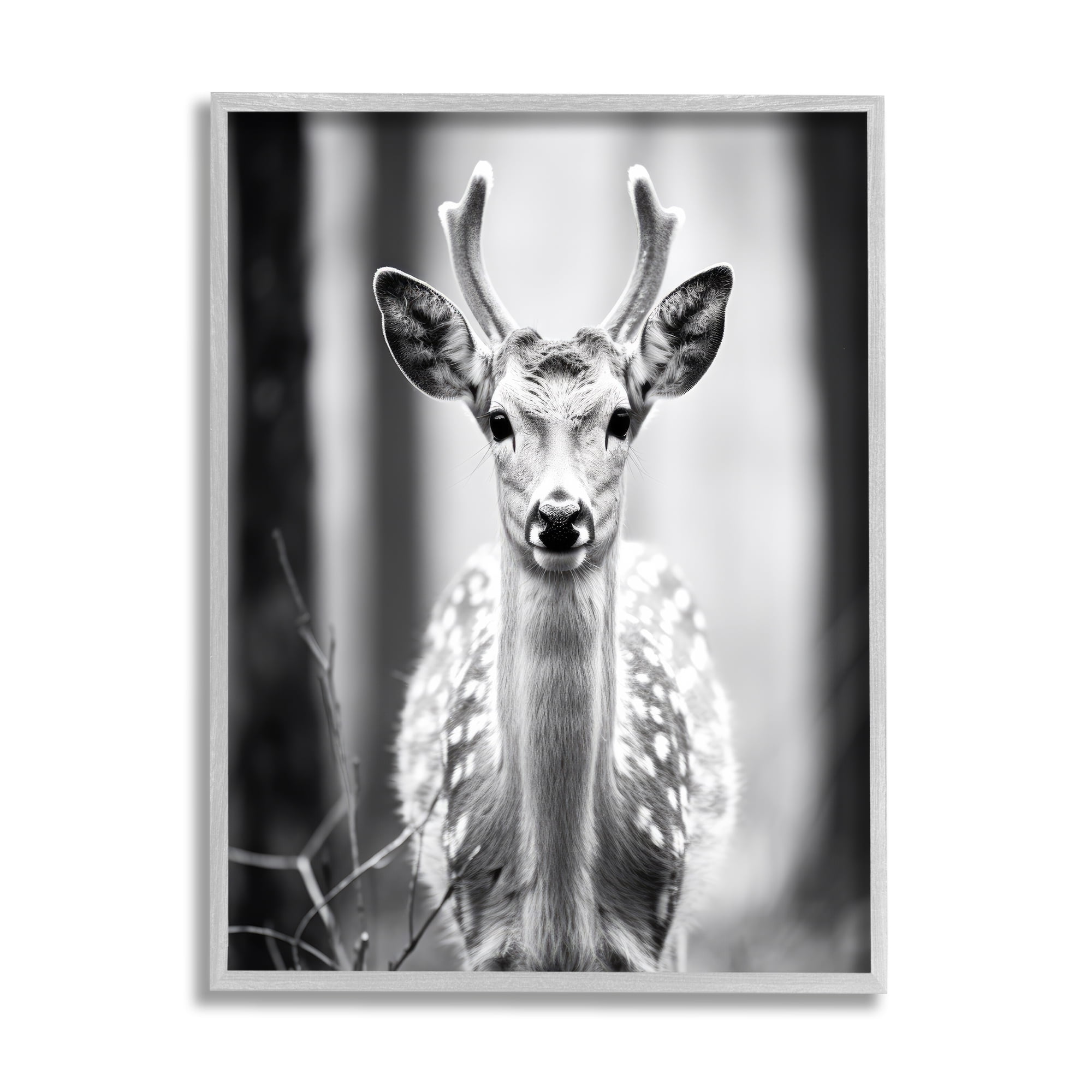 Stupell Industries Baby Fawn Photography Animals & Insects Photography Gray Framed Art Print Wall Art, 16 x 20