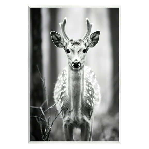 Stupell Industries Baby Fawn Photography Animals & Insects Photography Unframed Art Print Wall Art, 10 x 15