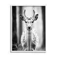 thumbnail image 1 of Stupell Industries Baby Fawn Photography Animals & Insects Photography White Framed Art Print Wall Art, 16 x 20, 1 of 9