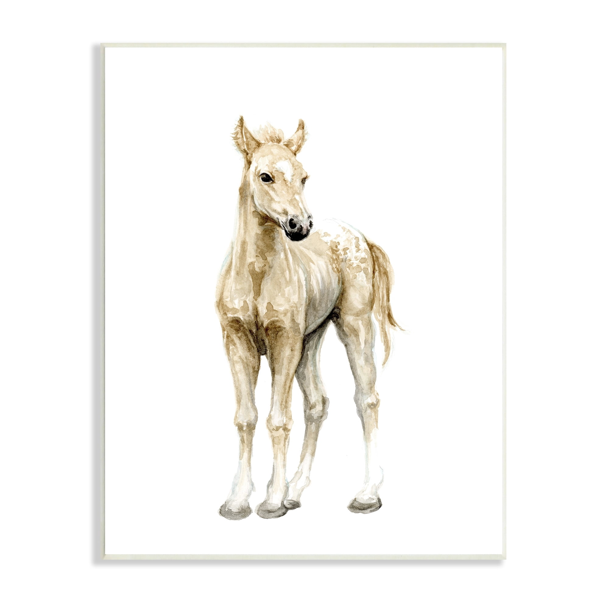 Stupell Industries Baby Horse Foal Watercolor Portrait Kids' Nursery Animal, 13 x 19,Design by Fox Hollow Studios