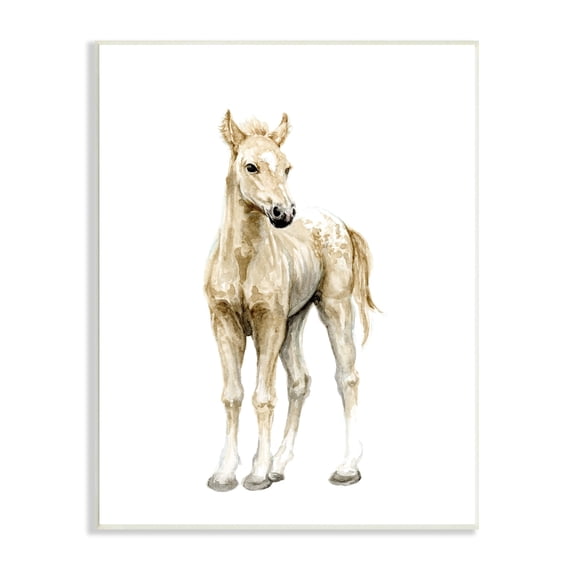 Stupell Industries Baby Horse Foal Watercolor Portrait Kids' Nursery Animal, 13 x 19,Design by Fox Hollow Studios