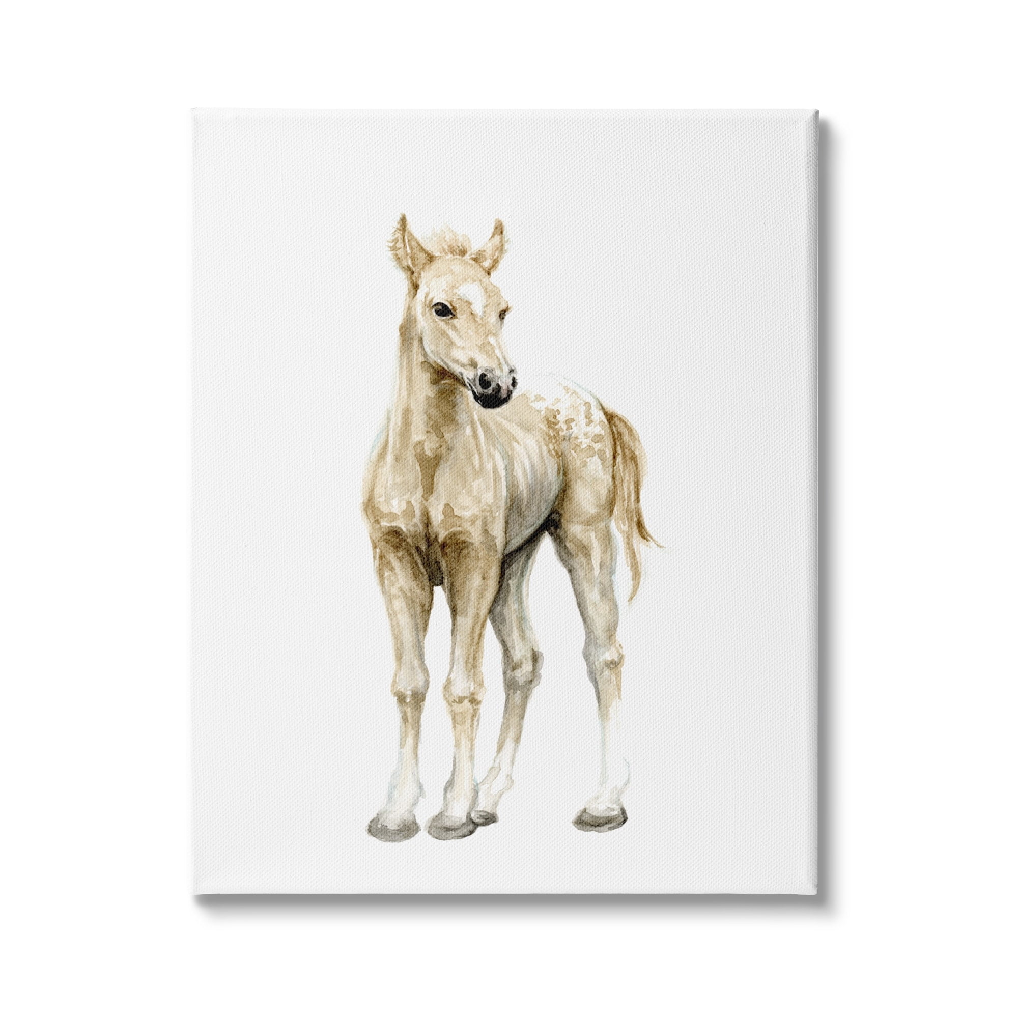 Stupell Industries Baby Horse Foal Watercolor Portrait Kids' Nursery Animal, 24 x 30,Design by Fox Hollow Studios