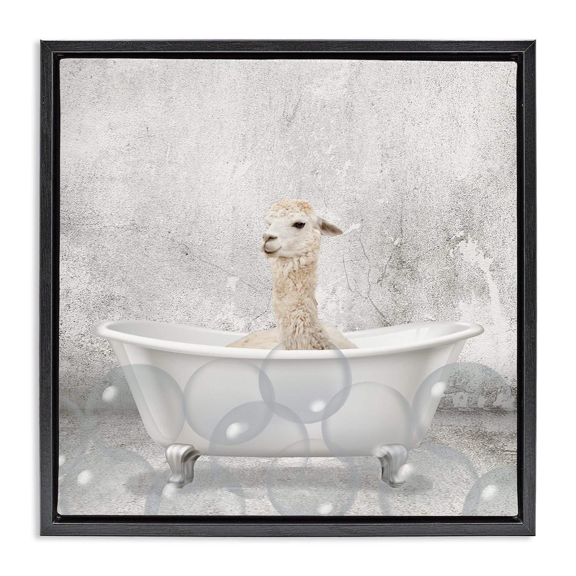 Stupell Industries Baby Llama Bath Time Animals & Insects Painting Black Floater Framed Canvas Art Print Wall Art, 18 x 18