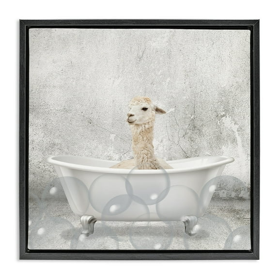 Stupell Industries Baby Llama Bath Time Animals & Insects Painting Black Floater Framed Canvas Art Print Wall Art, 18 x 18