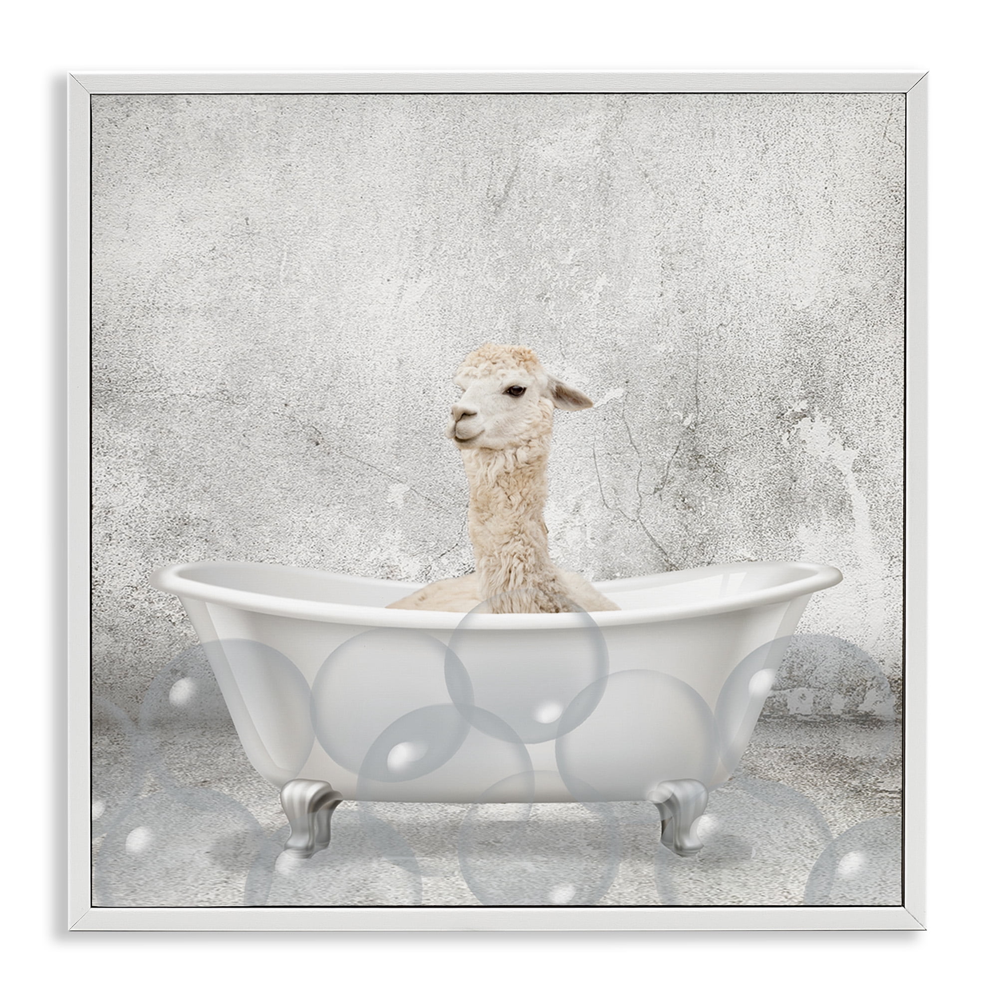 Stupell Industries Baby Llama Bath Time Animals & Insects Painting White Framed Art Print Wall Art, 12 x 12