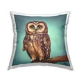 thumbnail image 1 of Stupell Industries Baby Owl Gazing Nature Printed Throw Pillow Design by Alpenglow Workshop, 1 of 6