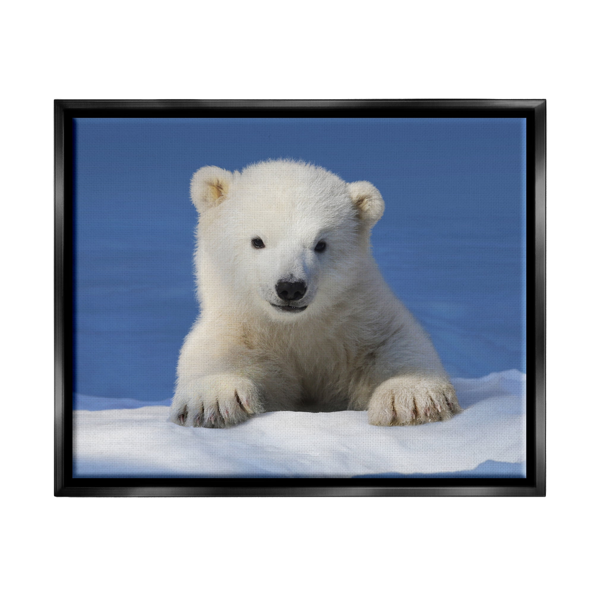 Stupell Industries Baby Polar Bear Peeking Animals & Insects Photography Black Floater Framed Art Print Wall Art, 31 x 25