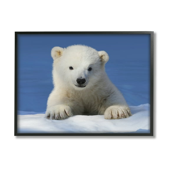 Stupell Industries Baby Polar Bear Peeking Animals & Insects Photography Black Framed Art Print Wall Art, 20 x 16