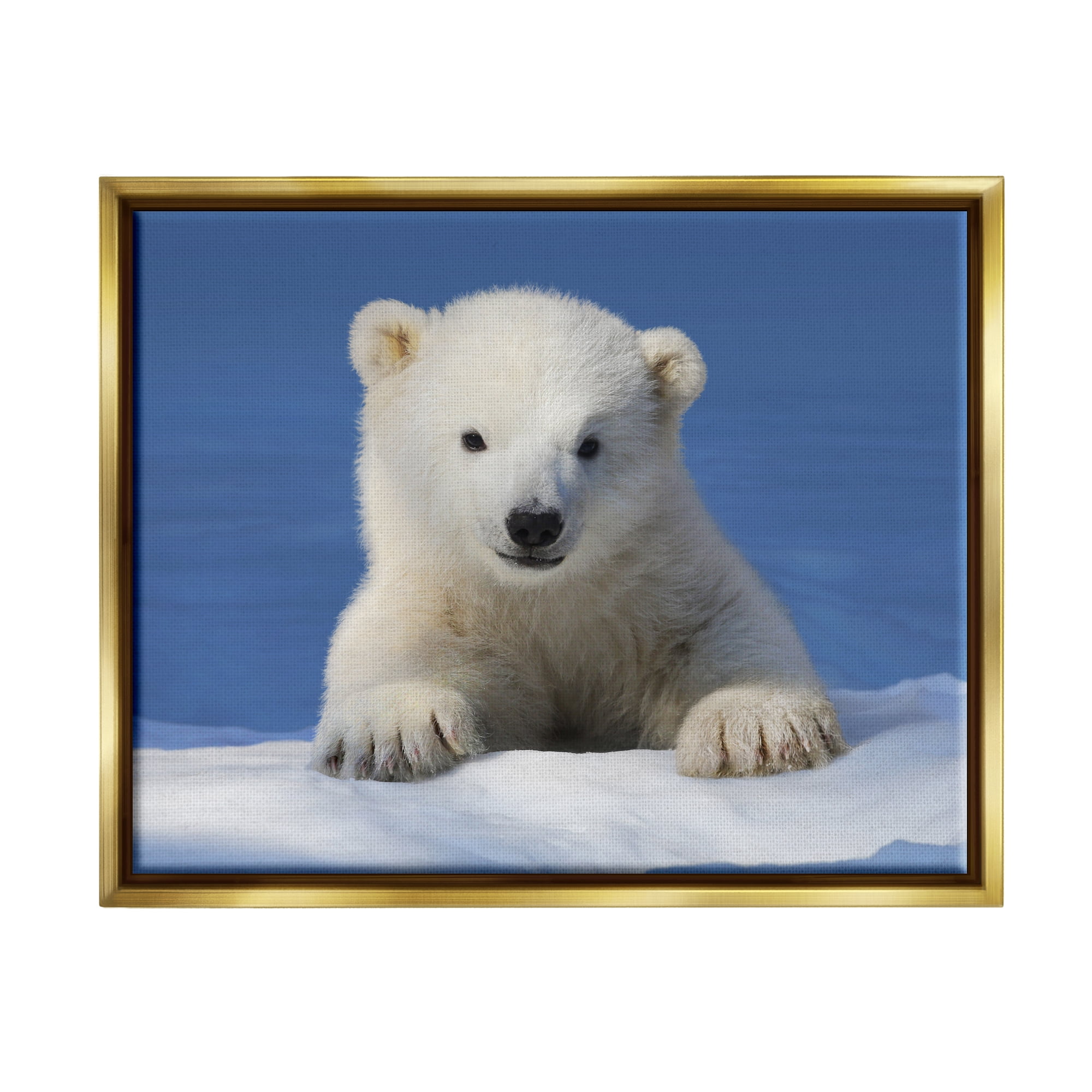 Stupell Industries Baby Polar Bear Peeking Animals & Insects Photography Gold Floater Framed Art Print Wall Art, 21 x 17