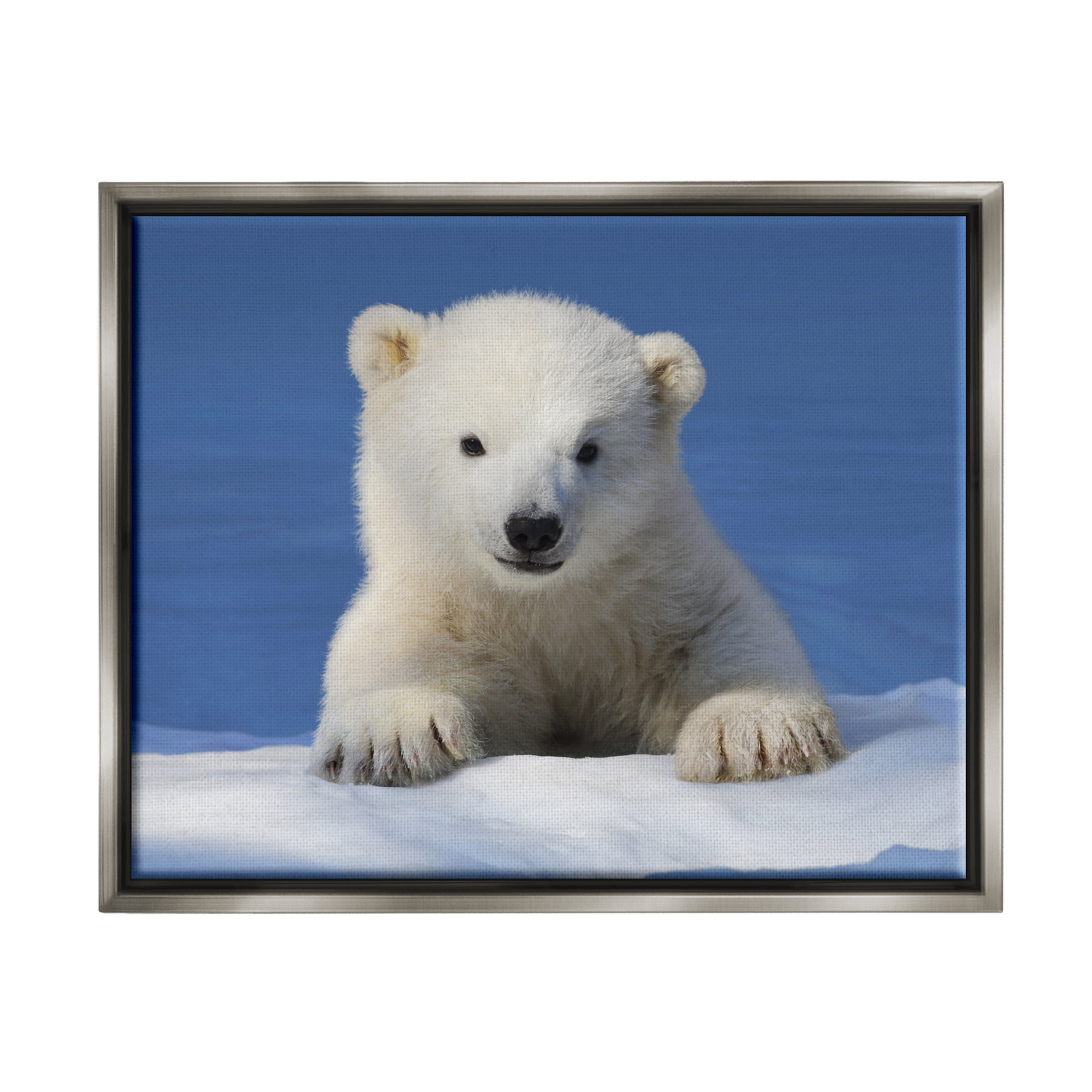 Stupell Industries Baby Polar Bear Peeking Animals & Insects Photography Gray Floater Framed Art Print Wall Art, 31 x 25