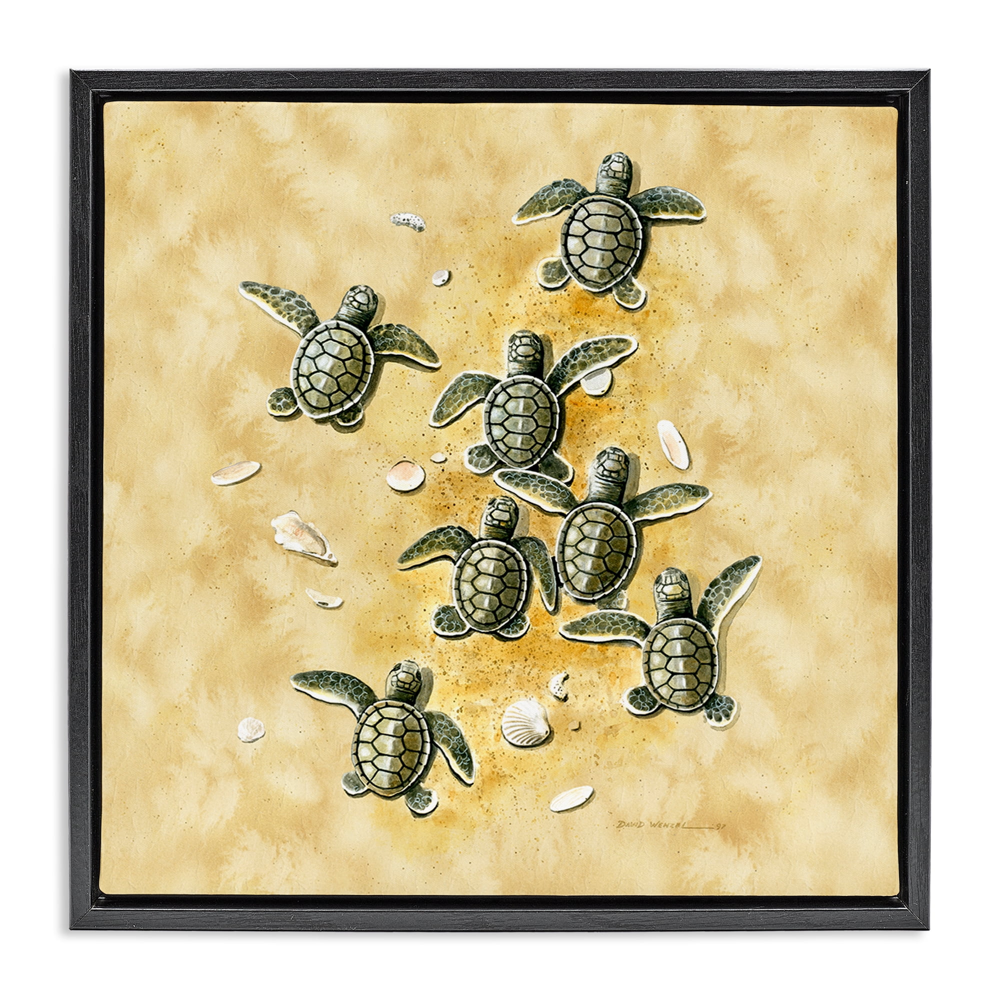 Stupell Industries Baby Sea Turtles Shore Animals Painting Black Floater Framed Canvas Art Print Wall Art, 25 x 25