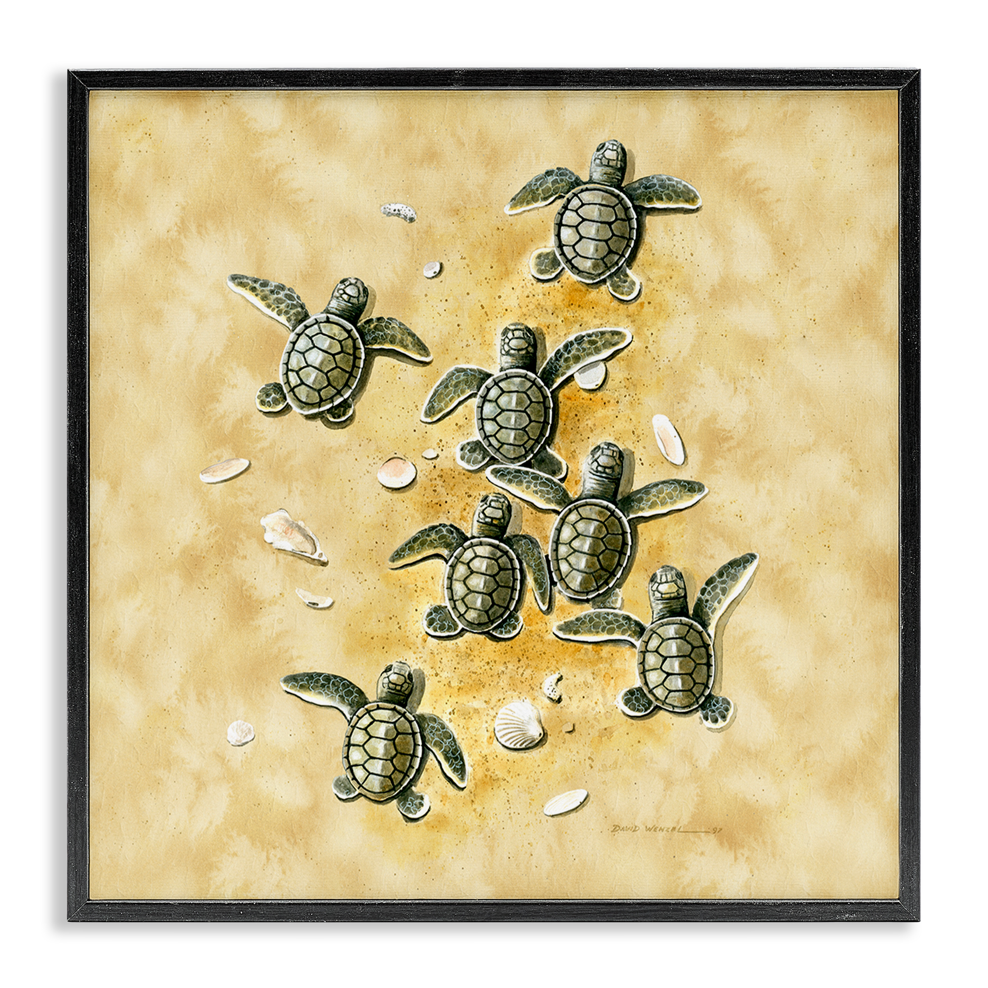 Stupell Industries Baby Sea Turtles Shore Animals Painting Black Framed Art Print Wall Art, 17 x 17