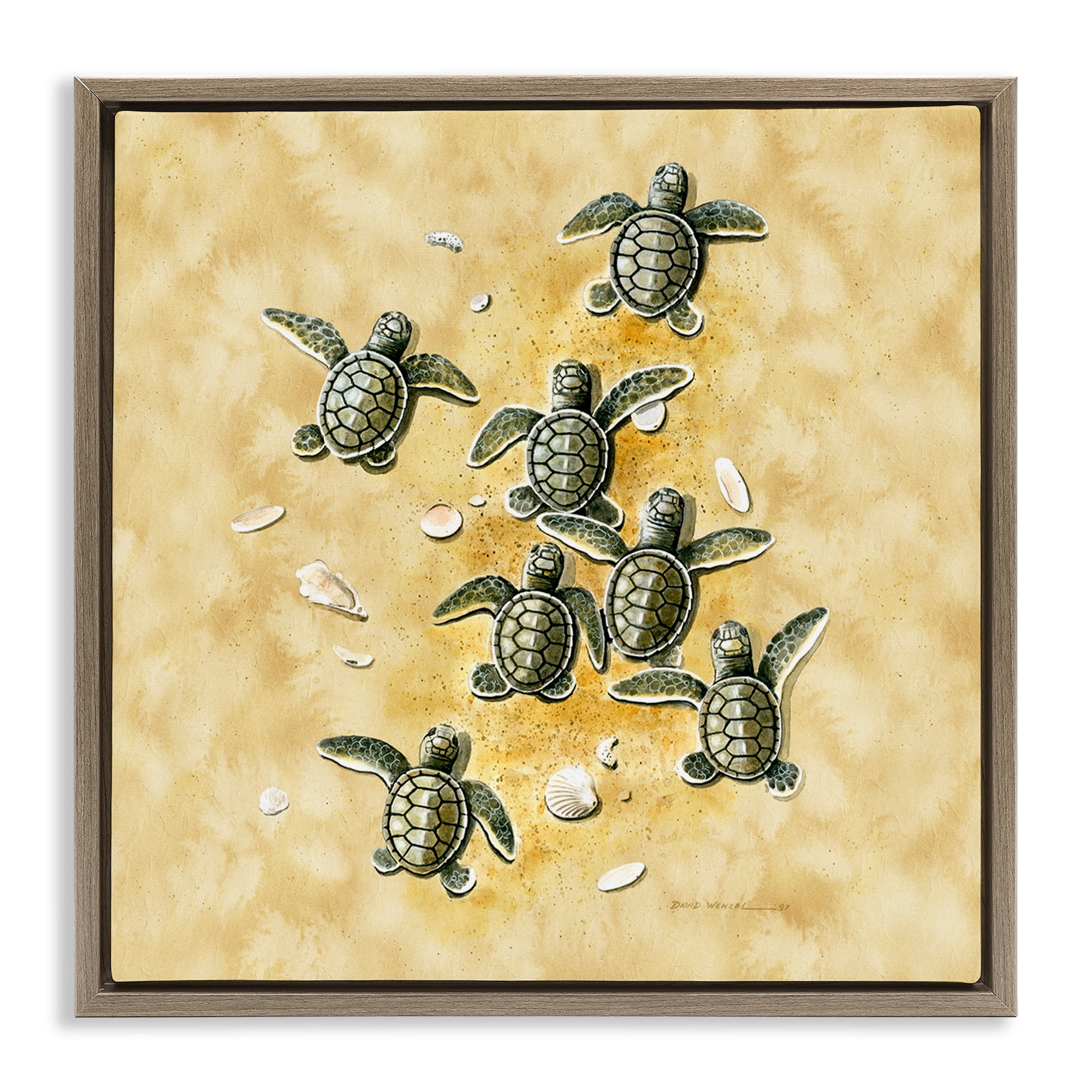 Stupell Industries Baby Sea Turtles Shore Animals Painting Brown Floater Framed Canvas Art Print Wall Art, 18 x 18