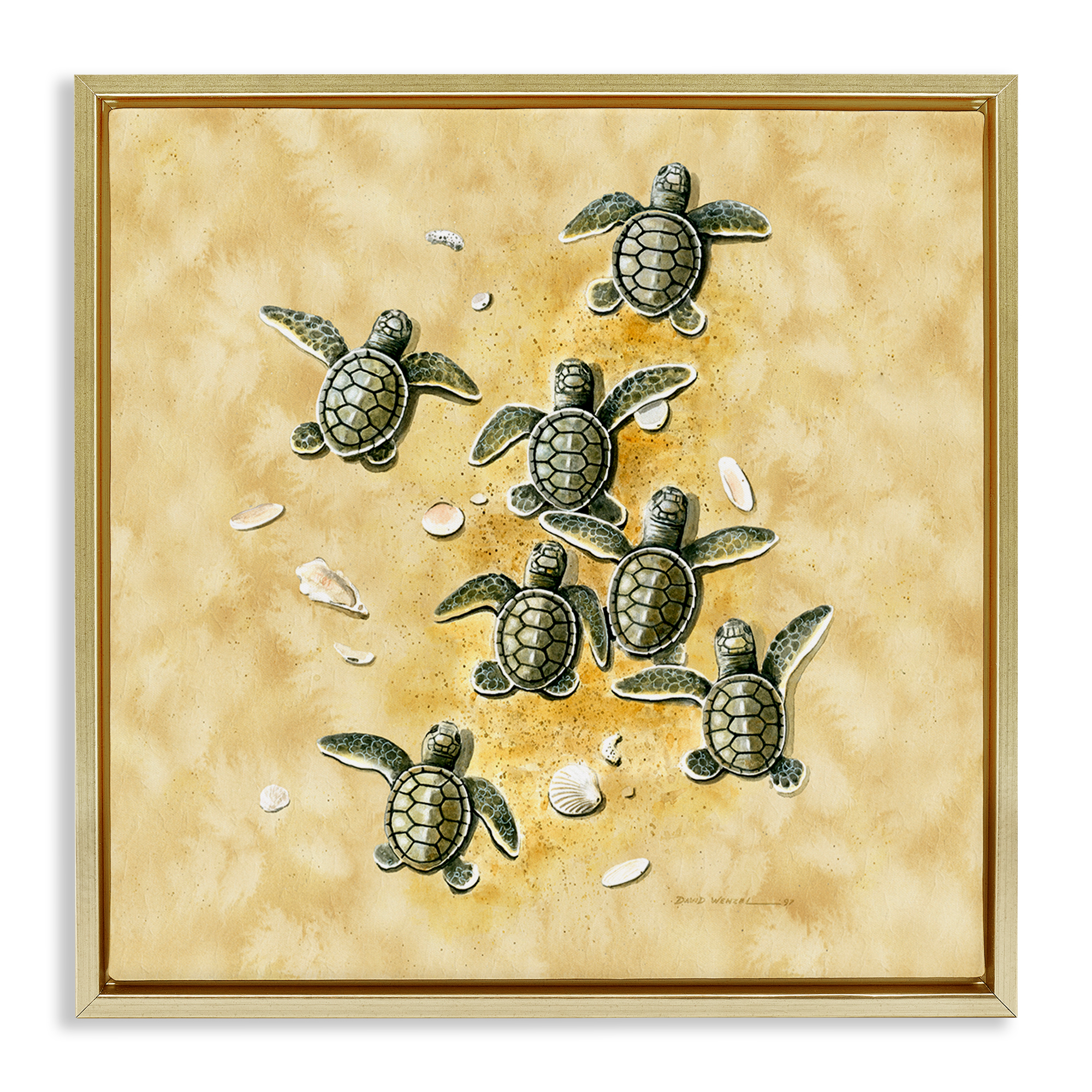 Stupell Industries Baby Sea Turtles Shore Animals Painting Gold Floater Framed Canvas Art Print Wall Art, 18 x 18