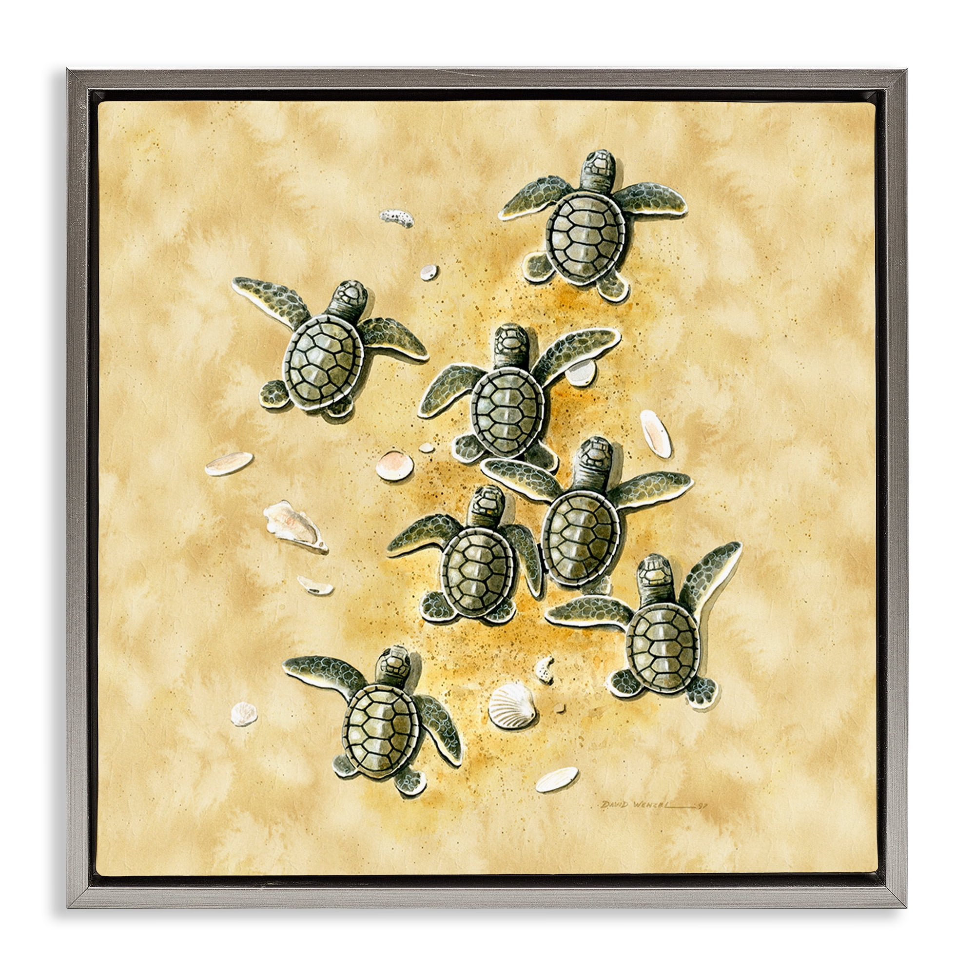 Stupell Industries Baby Sea Turtles Shore Animals Painting Gray Floater Framed Canvas Art Print Wall Art, 18 x 18